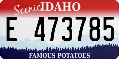 ID license plate E473785