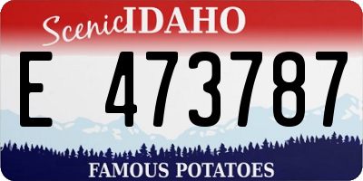 ID license plate E473787