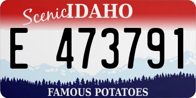 ID license plate E473791