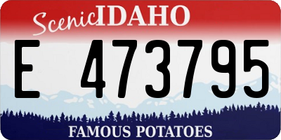ID license plate E473795