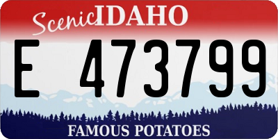 ID license plate E473799