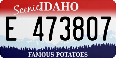 ID license plate E473807