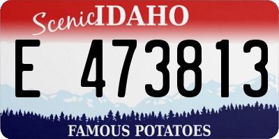 ID license plate E473813