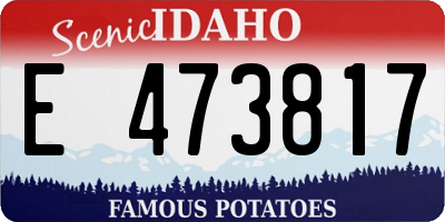 ID license plate E473817