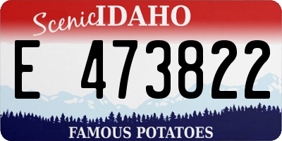 ID license plate E473822