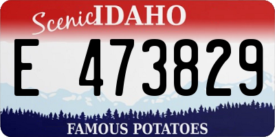 ID license plate E473829