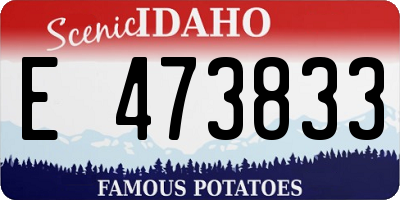 ID license plate E473833
