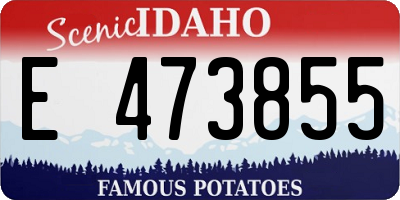 ID license plate E473855
