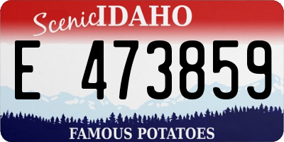 ID license plate E473859