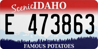 ID license plate E473863