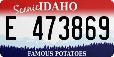 ID license plate E473869