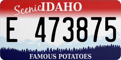 ID license plate E473875