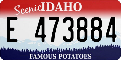 ID license plate E473884