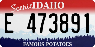 ID license plate E473891