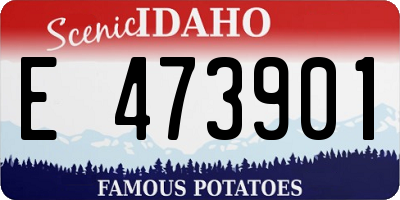 ID license plate E473901