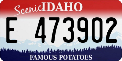 ID license plate E473902