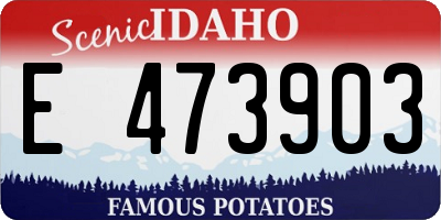 ID license plate E473903