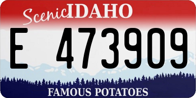 ID license plate E473909