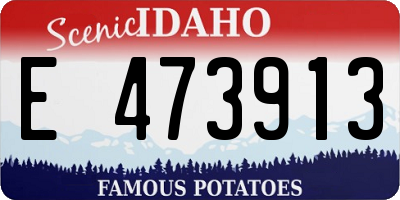 ID license plate E473913
