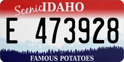 ID license plate E473928