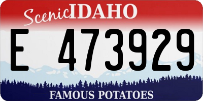 ID license plate E473929