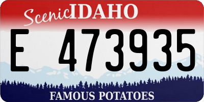 ID license plate E473935