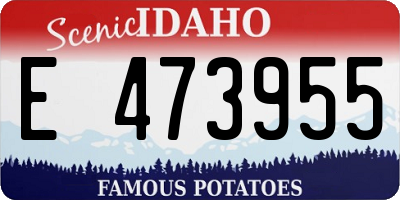ID license plate E473955