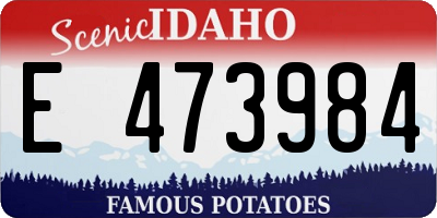 ID license plate E473984