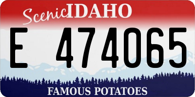 ID license plate E474065
