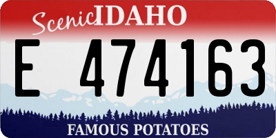 ID license plate E474163