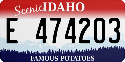 ID license plate E474203