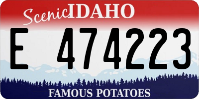 ID license plate E474223
