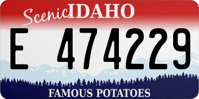 ID license plate E474229