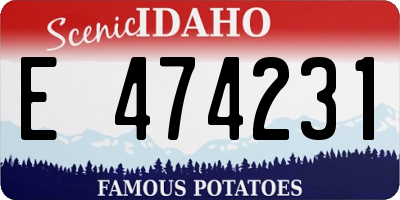 ID license plate E474231