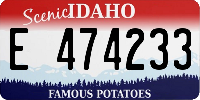 ID license plate E474233