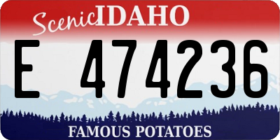 ID license plate E474236
