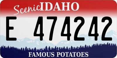 ID license plate E474242