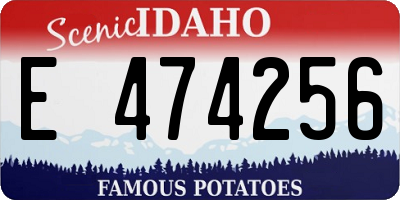 ID license plate E474256