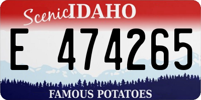 ID license plate E474265