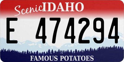ID license plate E474294