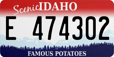 ID license plate E474302