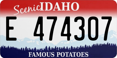 ID license plate E474307