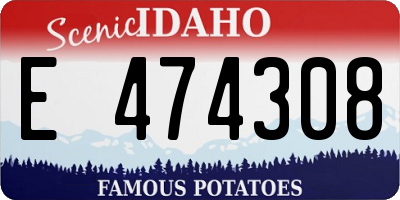 ID license plate E474308