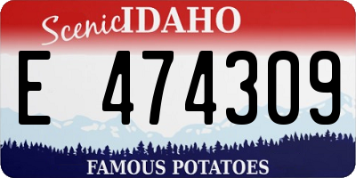 ID license plate E474309