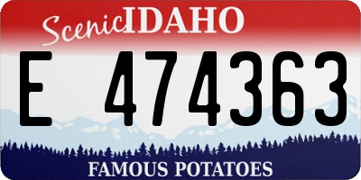 ID license plate E474363