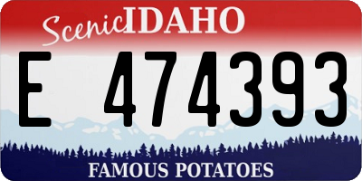 ID license plate E474393