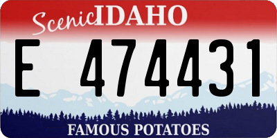 ID license plate E474431