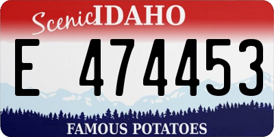 ID license plate E474453