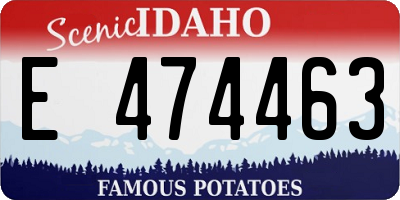 ID license plate E474463