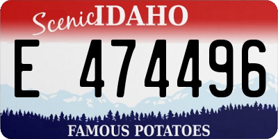 ID license plate E474496